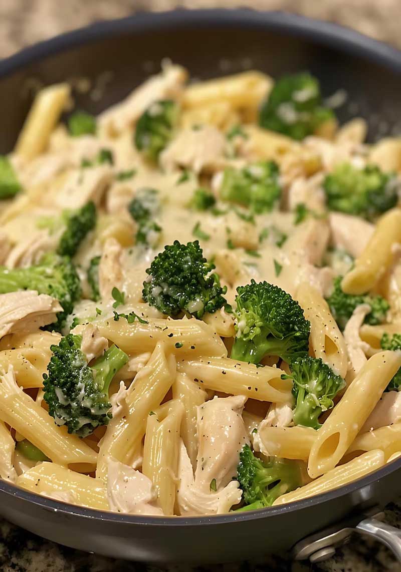 Chicken Broccoli Alfredo